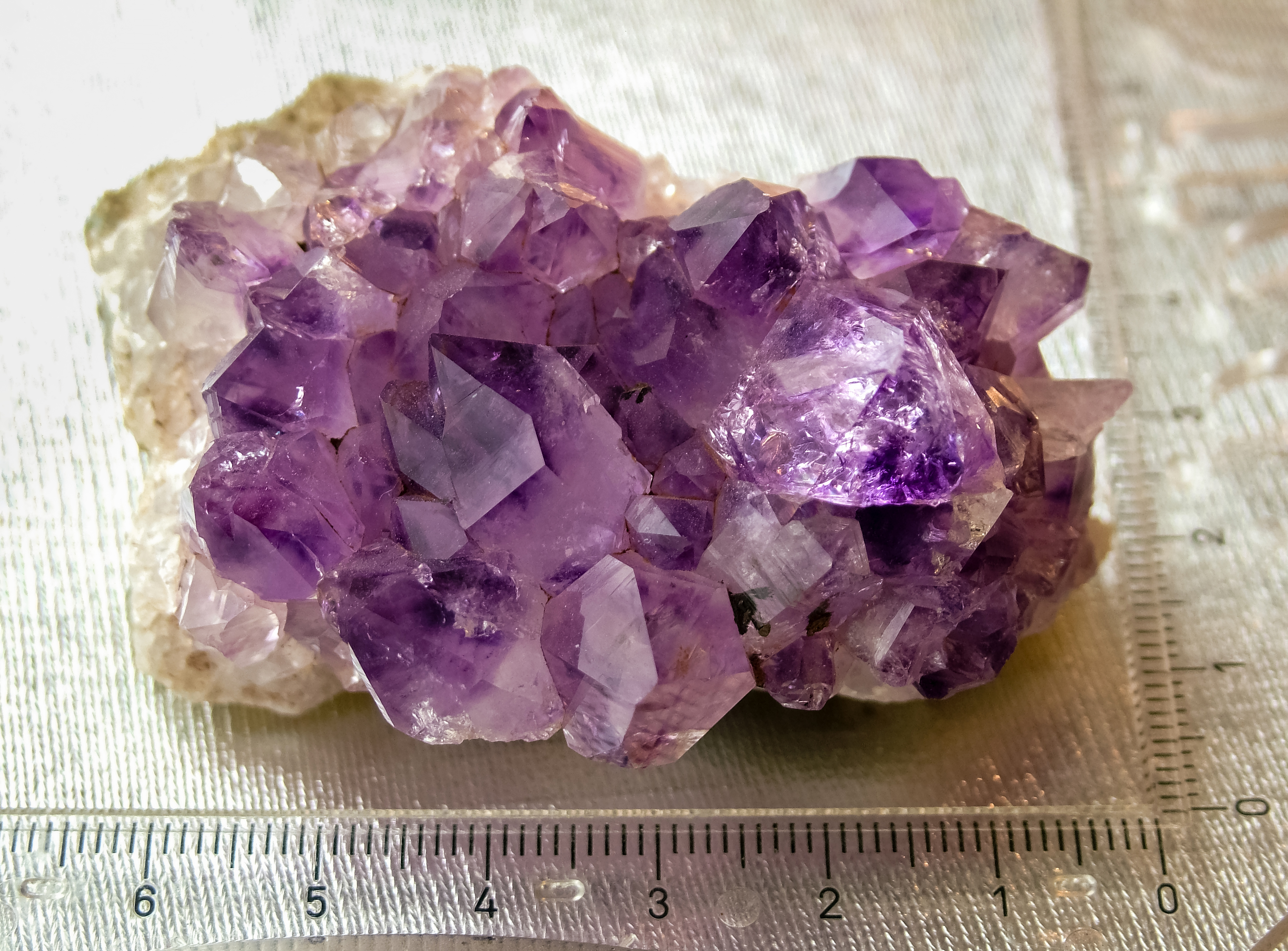 Amethyst cluster photographed with a ruler